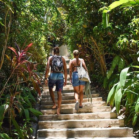 فندق فنكي مانكي لودج Playa Santa Teresa  المظهر الخارجي الصورة